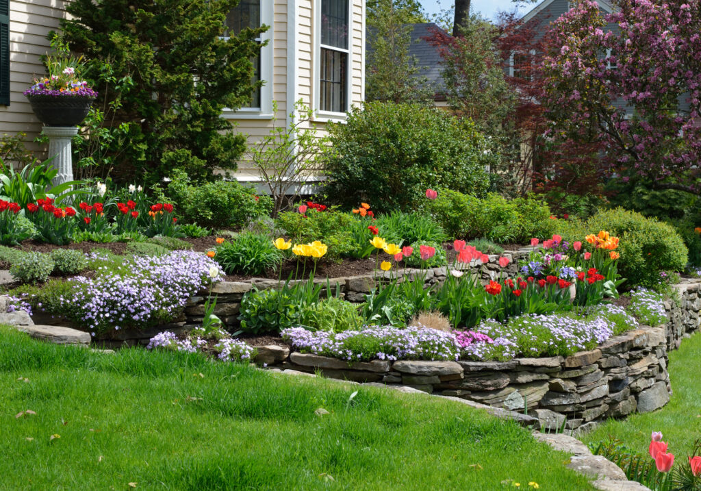 Protecting Your Lawn from Common Pests - All Natural Stone & Grass