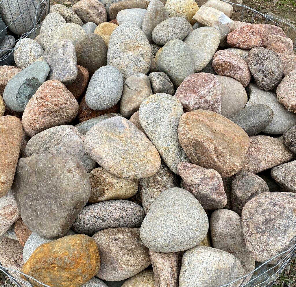 Colorado River Rock 2 - 4 - Pine Landscape